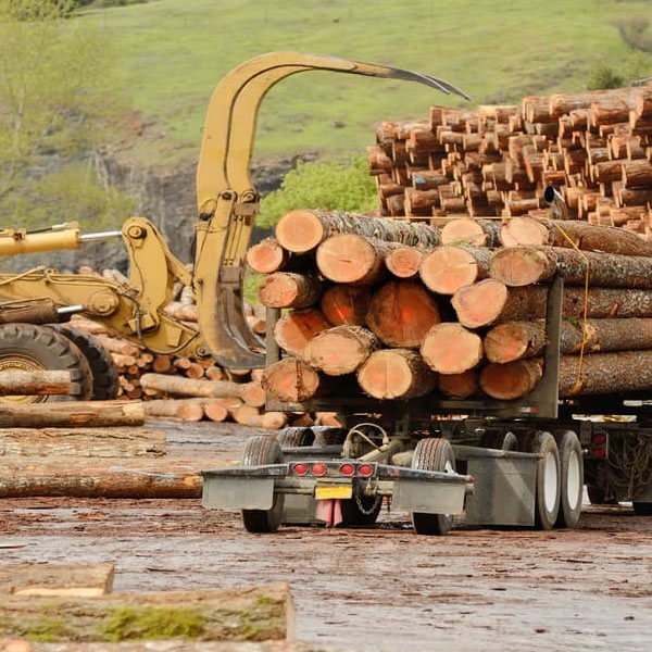 Janveaux Forest Products
